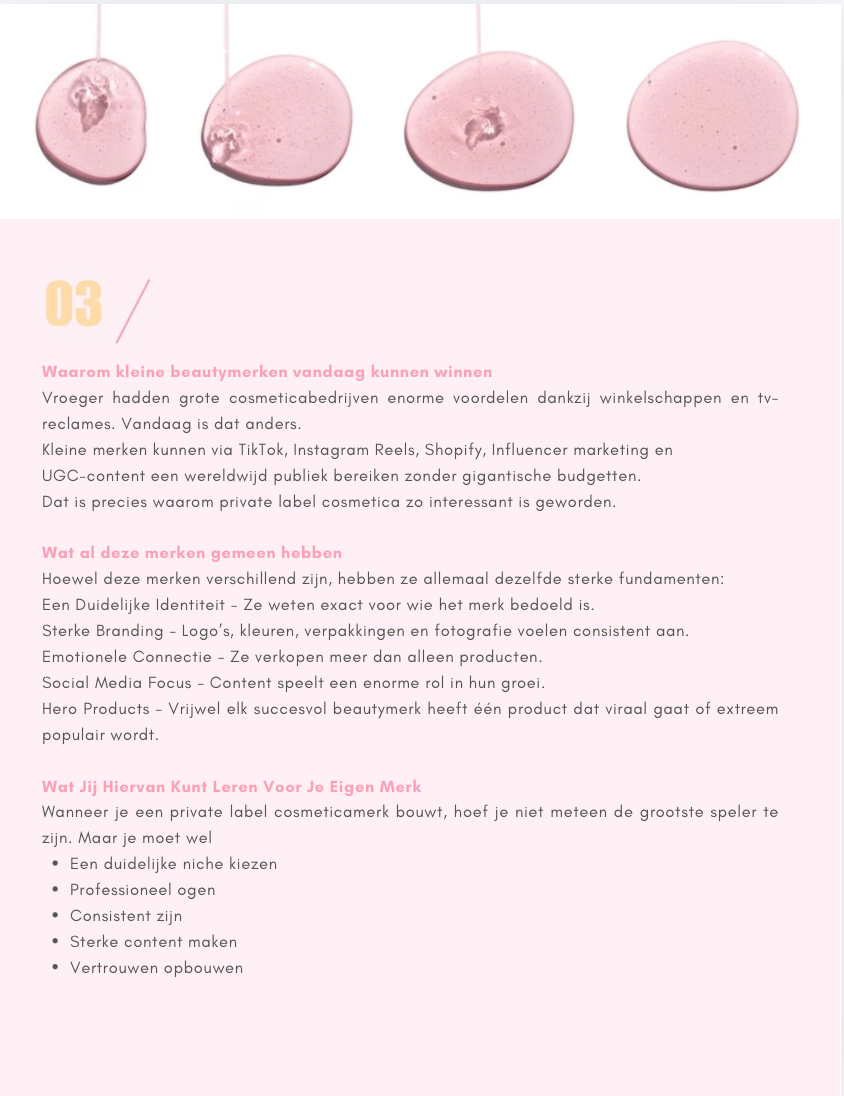 Ebook Private Label Cosmetica - Van idee tot cosmeticamerk