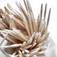 NOSC010 - Fine swabs in dispenser